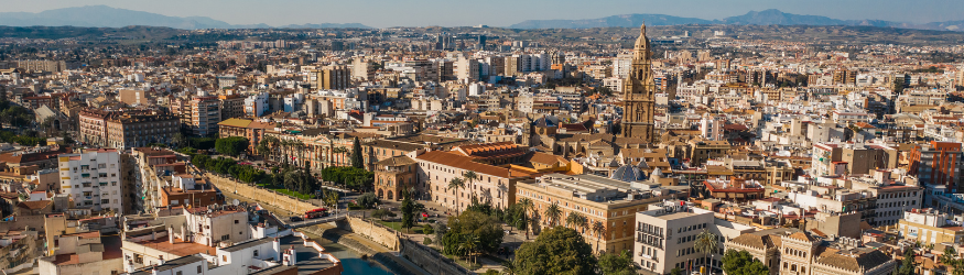 Inmobiliaria Eurofinmo su agencia de confianza Murcia. JUANA GONZALEZ ESPARZA  en Murcia