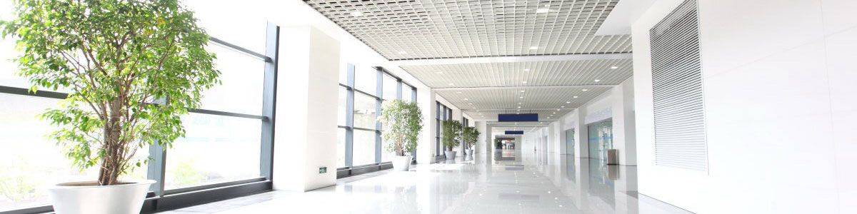  Tenemos hoteles y otros negocios en Murcia. JUANA GONZALEZ ESPARZA  en Murcia